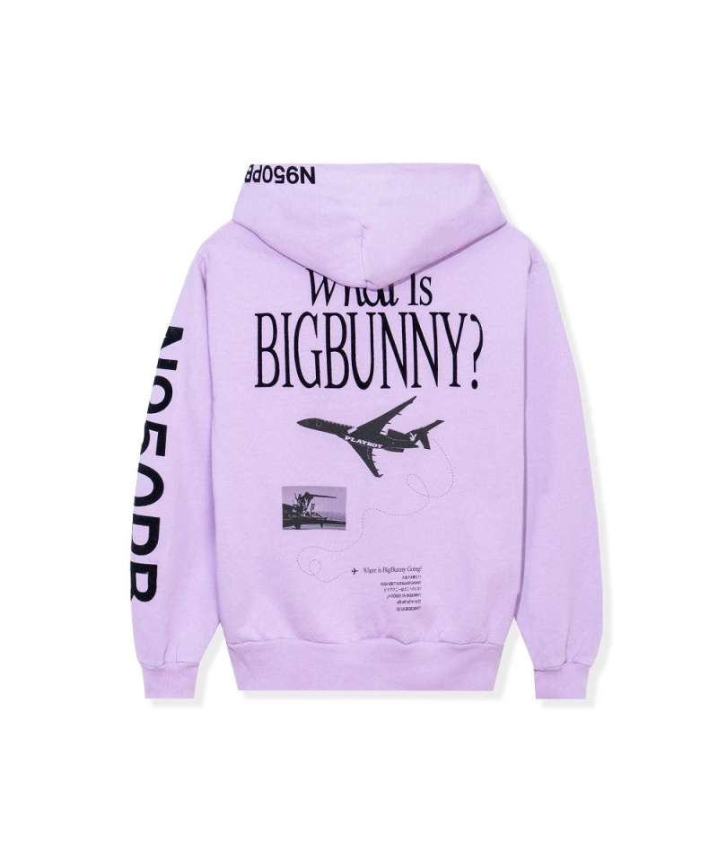 Playboy Aviation Wings N950PB Hoodie Heren Paars | PLBY-593071