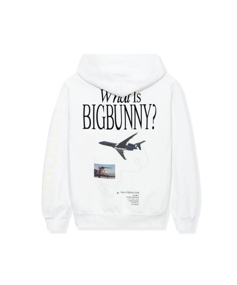 Playboy Aviation Wings N950PB Hoodie Heren Paars | PLBY-593071